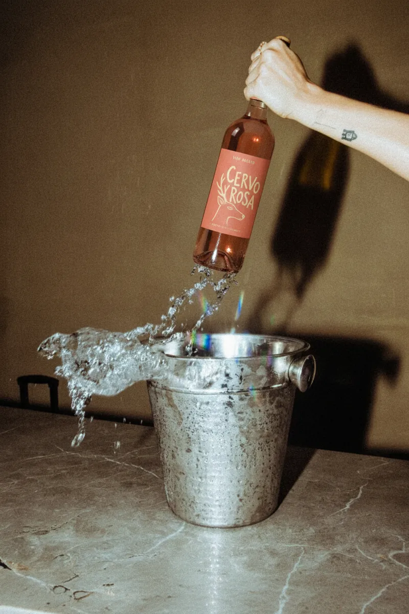 A bottle of wine being removed from an ice bucket