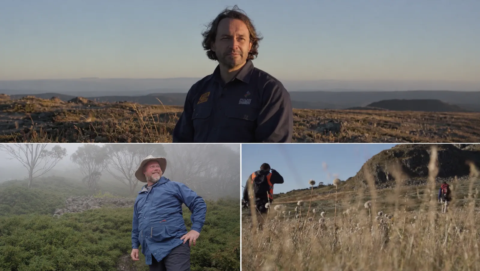 Mountain Pygmy Possum Recovery Project
